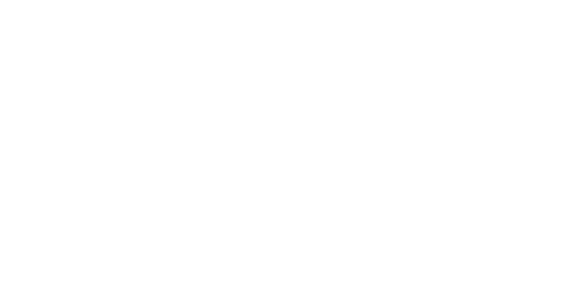 SYNOTtip logo