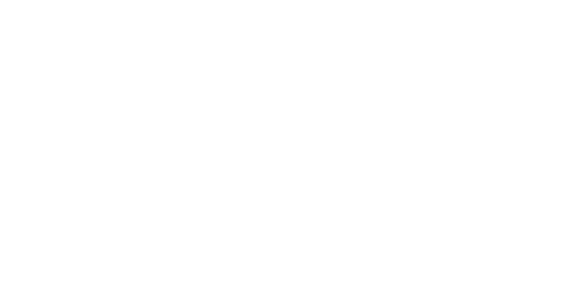 Bluff logo