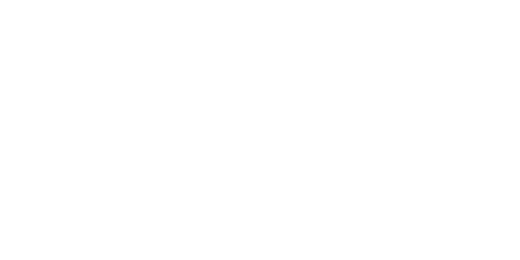 Borneo logo