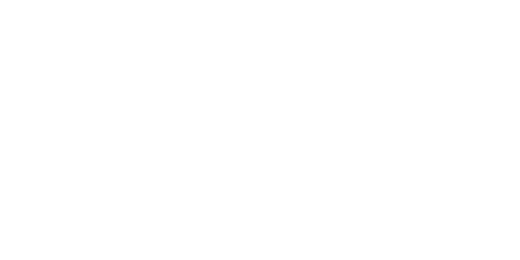 San Marco logo