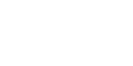Finix Casino logo