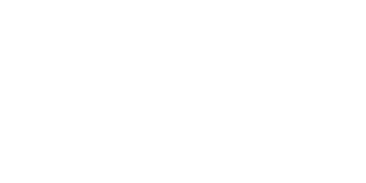 Merit International logo